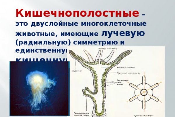 Кракен ссылка тор браузер